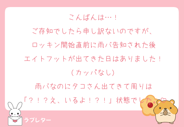 こんばんは…！
ご存知でしたら申し訳ないのですが、
ロッキン開始直前に雨バ告知された後
エイトフットが出てきた日はありました！
(カッパなし)
雨バなのにタコさん出てきて周りは
「？！？え、いるよ！？！」状態でした。