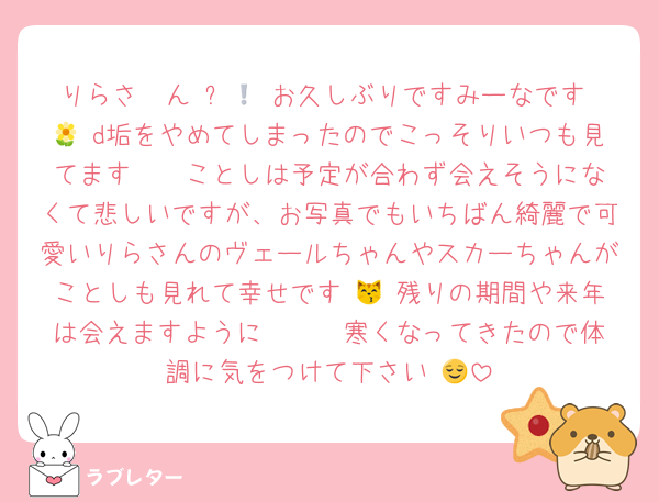 りらさ〜ん ❕💜 お久しぶりですみーなです 🌼 d垢をやめてしまったのでこっそりいつも見てます 🥺 ことしは予定が合わず会えそうになくて悲しいですが、お写真でもいちばん綺麗で可愛いりらさんのヴェールちゃんやスカーちゃんがことしも見れて幸せです 😽 残りの期間や来年は会えますように 🥲🤍 寒くなってきたので体調に気をつけて下さい 😌