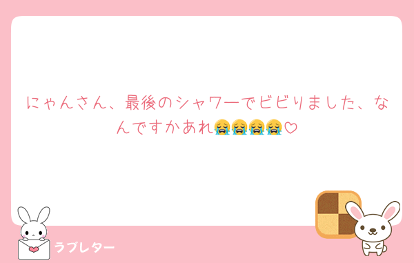 にゃんさん、最後のシャワーでビビりました、なんですかあれ😭😭😭😭