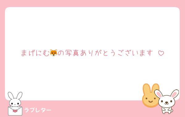 まげにむ🦊の写真ありがとうございます♡