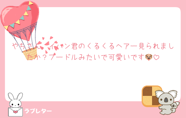 やちさん、イハン君のくるくるヘアー見られましたか？プードルみたいで可愛いです🐶