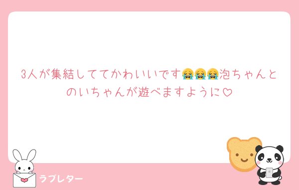 3人が集結しててかわいいです😭😭😭泡ちゃんとのいちゃんが遊べますように