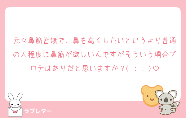 元々鼻筋皆無で、鼻を高くしたいというより普通の人程度に鼻筋が欲しいんですがそういう場合プロテはありだと思いますか？( ; ; )