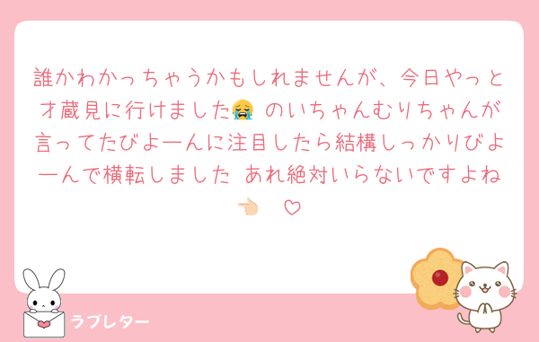 誰かわかっちゃうかもしれませんが、今日やっと才蔵見に行けました😭 のいちゃんむりちゃんが言ってたびよーんに注目したら結構しっかりびよーんで横転しました あれ絶対いらないですよね👈🏻