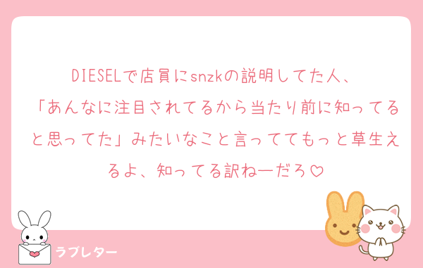 DIESELで店員にsnzkの説明してた人、「あんなに注目されてるから当たり前に知ってると思ってた」みたいなこと言っててもっと草生えるよ、知ってる訳ねーだろ