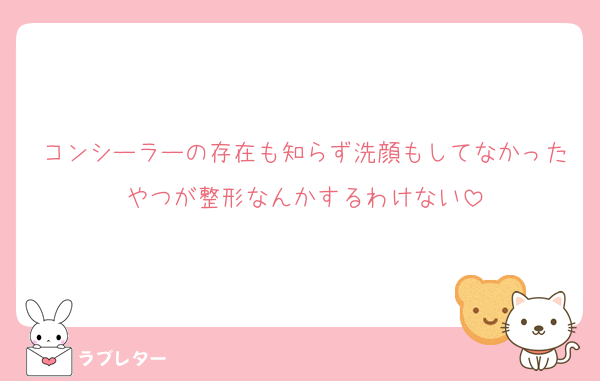 コンシーラーの存在も知らず洗顔もしてなかったやつが整形なんかするわけない