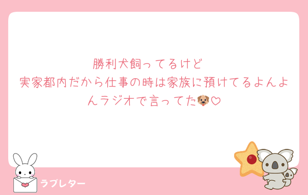 勝利犬飼ってるけど
実家都内だから仕事の時は家族に預けてるよんよんラジオで言ってた🐶
