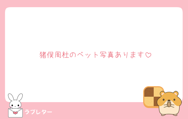 猪俣周杜のベット写真あります