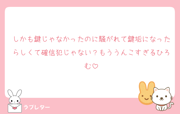 しかも鍵じゃなかったのに騒がれて鍵垢になったらしくて確信犯じゃない？もううんこすぎるひろむ