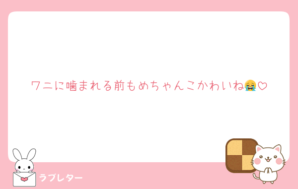 ワニに噛まれる前もめちゃんこかわいね😭