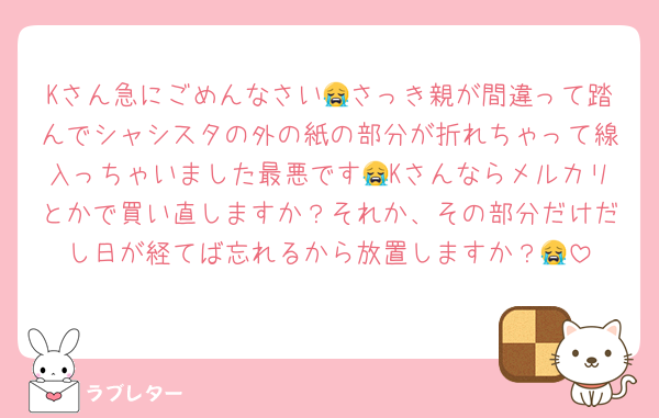 Kさん急にごめんなさい😭さっき親が間違って踏んでシャシスタの外の紙の部分が折れちゃって線入っちゃいました最悪です😭Kさんならメルカリとかで買い直しますか？それか、その部分だけだし日が経てば忘れるから放置しますか？😭