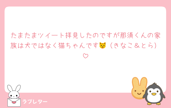 たまたまツイート拝見したのですが那須くんの家族は犬ではなく猫ちゃんです🐱（きなこ＆とら）