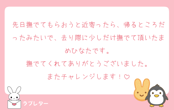 先日撫でてもらおうと近寄ったら、帰るところだったみたいで、去り際に少しだけ撫でて頂いたまめひなたです。
撫でてくれてありがとうございました。
またチャレンジします！