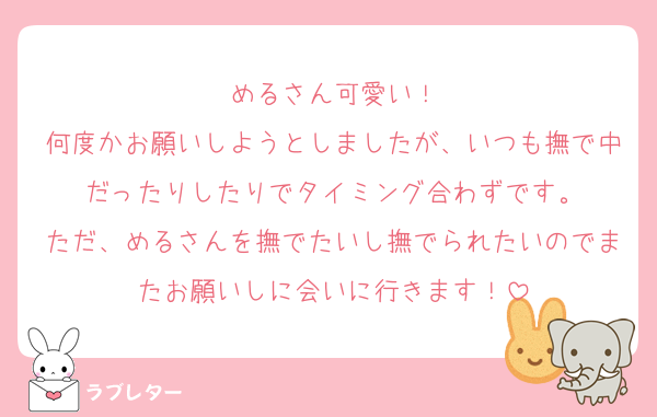 めるさん可愛い！
何度かお願いしようとしましたが、いつも撫で中だったりしたりでタイミング合わずです。
ただ、めるさんを撫でたいし撫でられたいのでまたお願いしに会いに行きます！