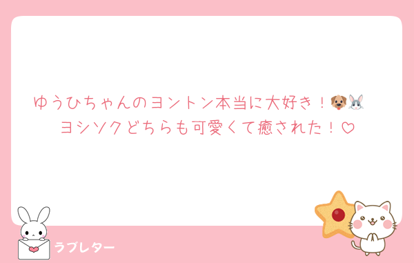 ゆうひちゃんのヨントン本当に大好き！🐶🐰
ヨシソクどちらも可愛くて癒された！