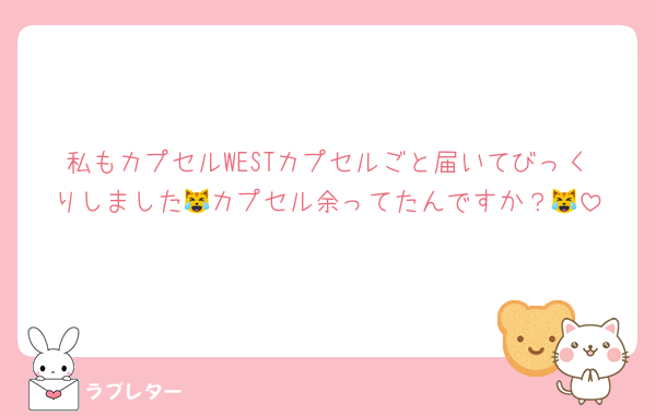 私もカプセルWESTカプセルごと届いてびっくりしました😹カプセル余ってたんですか？😹