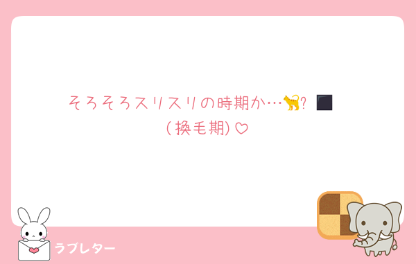そろそろスリスリの時期か…🐈‍⬛🐈
(換毛期)