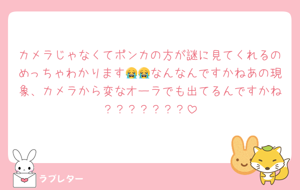 カメラじゃなくてポンカの方が謎に見てくれるのめっちゃわかります😭😭なんなんですかねあの現象、カメラから変なオーラでも出てるんですかね？？？？？？？