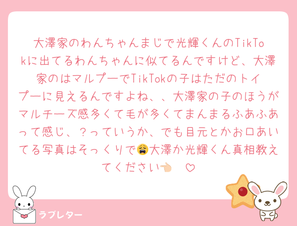 大澤家のわんちゃんまじで光輝くんのTikTokに出てるわんちゃんに似てるんですけど、大澤家のはマルプーでTikTokの子はただのトイプーに見えるんですよね、、大澤家の子のほうがマルチーズ感多くて毛が多くてまんまるふあふあって感じ、？っていうか、でも目元とかお口あいてる写真はそっくりで😩大澤か光輝くん真相教えてください👈🏻