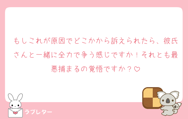 もしこれが原因でどこかから訴えられたら、彼氏さんと一緒に全力で争う感じですか！それとも最悪捕まるの覚悟ですか？