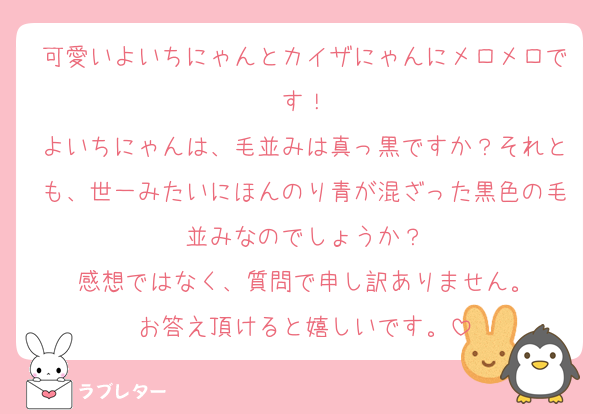 可愛いよいちにゃんとカイザにゃんにメロメロです！
よいちにゃんは、毛並みは真っ黒ですか？それとも、世一みたいにほんのり青が混ざった黒色の毛並みなのでしょうか？
感想ではなく、質問で申し訳ありません。
お答え頂けると嬉しいです。