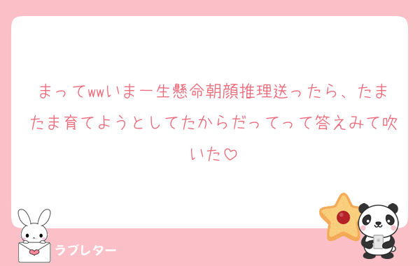 まってwwいま一生懸命朝顔推理送ったら、たまたま育てようとしてたからだってって答えみて吹いた