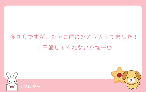 今さらですが、カテコ前にカメラ入ってました！！円盤してくれないかなー