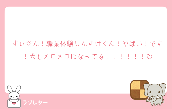 すぃさん！職業体験しんすけくん！やばい！です！犬もメロメロになってる！！！！！！