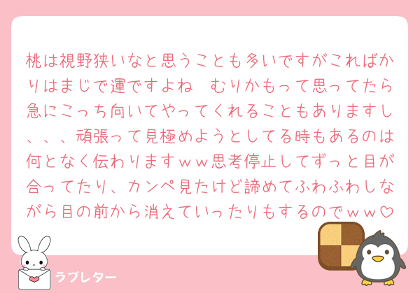桃は視野狭いなと思うことも多いですがこればかりはまじで運ですよね🥲むりかもって思ってたら急にこっち向いてやってくれることもありますし、、、頑張って見極めようとしてる時もあるのは何となく伝わりますｗｗ思考停止してずっと目が合ってたり、カンペ見たけど諦めてふわふわしながら目の前から消えていったりもするのでｗｗ