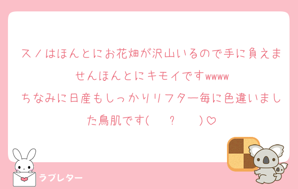 スノはほんとにお花畑が沢山いるので手に負えませんほんとにキモイですwwww
ちなみに日産もしっかりリフター毎に色違いました鳥肌です‪(  ◜ᴗ◝  )