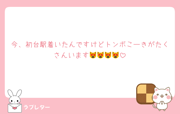今、初台駅着いたんですけどトンボこーきがたくさんいます😻😻😻😻