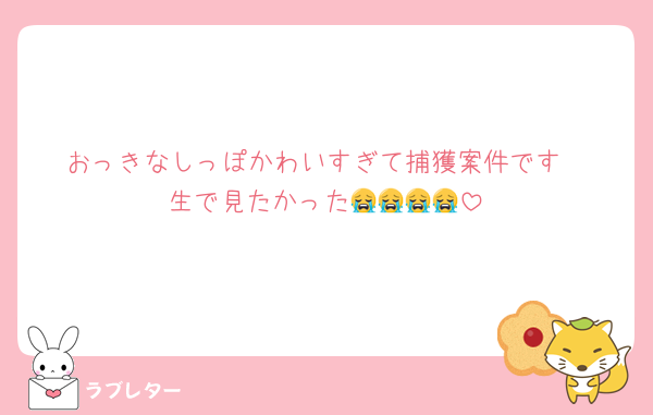 おっきなしっぽかわいすぎて捕獲案件です
生で見たかった😭😭😭😭