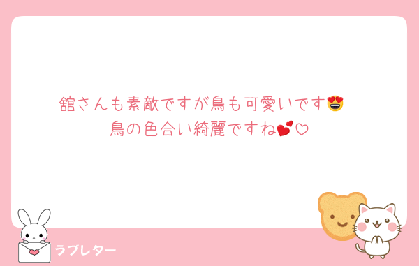 舘さんも素敵ですが鳥も可愛いです😍
鳥の色合い綺麗ですね💕︎