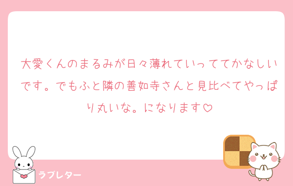 大愛くんのまるみが日々薄れていっててかなしいです。でもふと隣の善如寺さんと見比べてやっぱり丸いな。になります