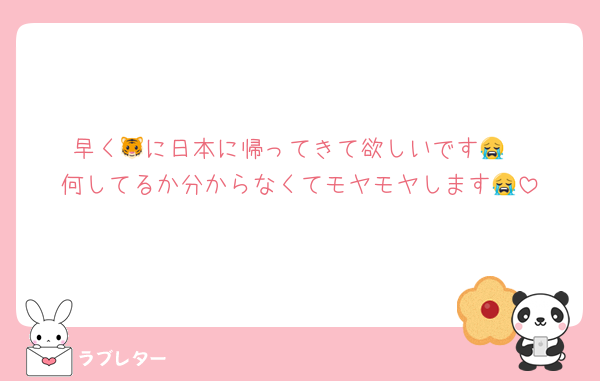 早く🐯に日本に帰ってきて欲しいです😭
何してるか分からなくてモヤモヤします😭