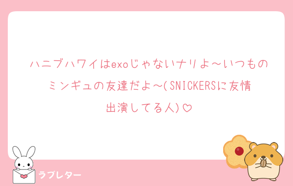 ハニブハワイはexoじゃないナリよ～いつものミンギュの友達だよ～(SNICKERSに友情出演してる人)