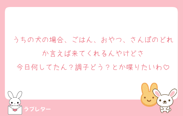 うちの犬の場合、ごはん、おやつ、さんぽのどれか言えば来てくれるんやけどさ
今日何してたん？調子どう？とか喋りたいわ