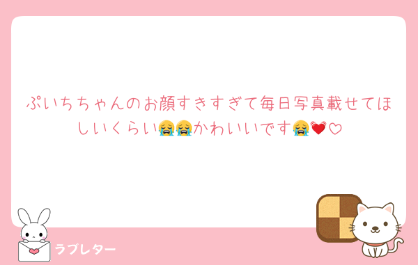 ぷいちちゃんのお顔すきすぎて毎日写真載せてほしいくらい😭😭かわいいです😭💓