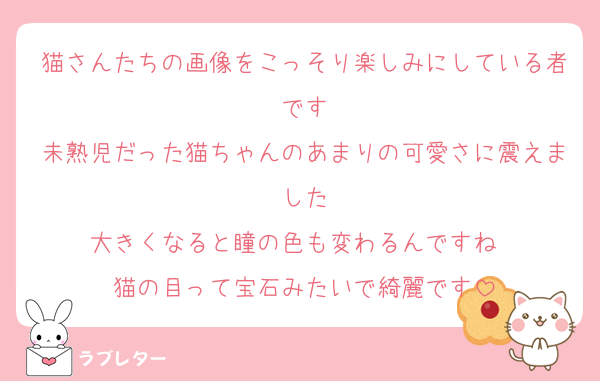 猫さんたちの画像をこっそり楽しみにしている者です
未熟児だった猫ちゃんのあまりの可愛さに震えました
大きくなると瞳の色も変わるんですね　
猫の目って宝石みたいで綺麗です