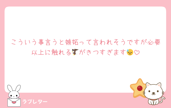 こういう事言うと嫉妬って言われそうですが必要以上に触れる🦅がきつすぎます😓