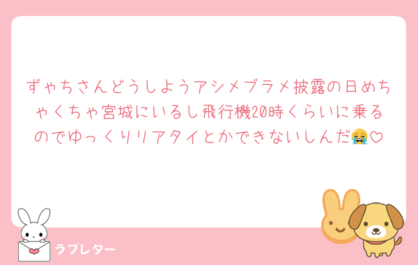 ずゃちさんどうしようアシメブラメ披露の日めちゃくちゃ宮城にいるし飛行機20時くらいに乗るのでゆっくりリアタイとかできないしんだ😭