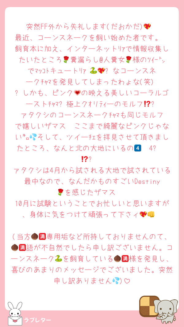 突然FF外から失礼します(だおかだ)💖
最近、コーンスネークを飼い始めた者です。
飼育本に加え、インターネットﾘｧで情報収集したいたところ🌹糞漏らし@人糞女🌹様のﾂｲｰ㌧でﾏｯｺﾄキュートﾘｧ 🐍💖✨️なコーンスネークﾁｬﾏを発見してしまったわょな(笑)‼️✨️しかも、ピンク💗の映える美しいコーラルゴーストﾁｬﾏ⁉️極上クｵリﾃｨーのモルフ💖✨️ァタクシのコーンスネークﾁｬﾏも同じモルフで嬉しいザマス❣️ここまで綺麗なピンクじゃない㌔💦そして、ツイーﾁｪを拝見させて頂きましたところ、なんと北の大地にいるの𝑪𝑨4️⃣𝑳𝑨⁉️
ァタクシは4月から試される大地で試されている最中なので、なんだかものすごいDestiny🌹を感じたザマス‼️
10月に試験ということでお忙しいと思いますが、身体に気をつけて頑張って下さィ💖👊

(当方🌰🈵専用垢など所持しておりませんのて、🌰🈵語が不自然でしたら申し訳ございません。コーンスネーク🐍を飼育している🌰🈵様を発見し、喜びのあまりのメッセージでございました。突然申し訳ありません💦)
