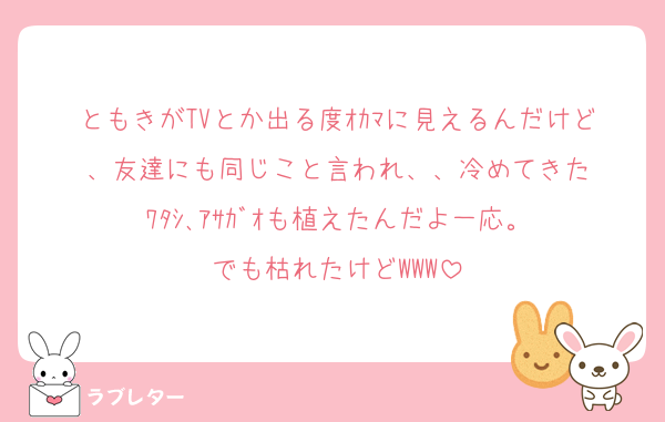 ともきがTVとか出る度ｵｶﾏに見えるんだけど、友達にも同じこと言われ、、冷めてきた
ﾜﾀｼ､ｱｻｶﾞｵも植えたんだよ一応。
でも枯れたけどWWW