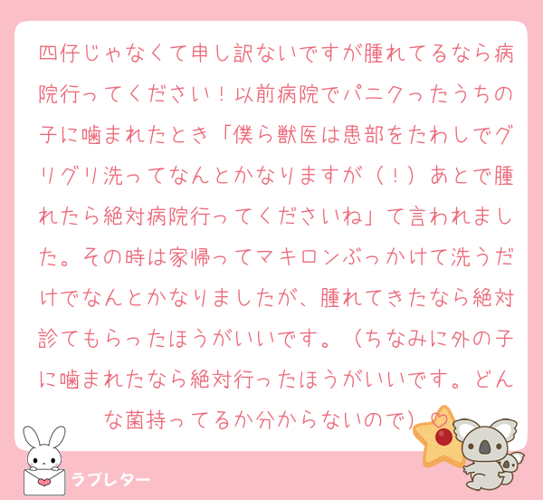四仔じゃなくて申し訳ないですが腫れてるなら病院行ってください！以前病院でパニクったうちの子に噛まれたとき「僕ら獣医は患部をたわしでグリグリ洗ってなんとかなりますが（！）あとで腫れたら絶対病院行ってくださいね」て言われました。その時は家帰ってマキロンぶっかけて洗うだけでなんとかなりましたが、腫れてきたなら絶対診てもらったほうがいいです。（ちなみに外の子に噛まれたなら絶対行ったほうがいいです。どんな菌持ってるか分からないので）