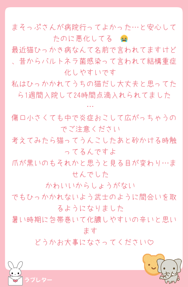 まそっぷさんが病院行ってよかった…と安心してたのに悪化してる〜😭
最近猫ひっかき病なんて名前で言われてますけど、昔からバルトネラ菌感染って言われて結構重症化しやすいです
私はひっかかれてうちの猫だし大丈夫と思ってたら1週間入院して24時間点滴入れられてました…
傷口小さくても中で炎症おこして広がっちゃうのでご注意ください
考えてみたら猫ってうんこしたあと砂かける時触ってるんですよ
爪が黒いのもそれかと思うと見る目が変わり…ませんでした
かわいいからしょうがない
でもひっかかれないよう武士のように間合いを取るようになりました
暑い時期に包帯巻いて化膿しやすいの辛いと思います
どうかお大事になさってください