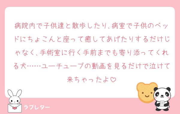 病院内で子供達と散歩したり､病室で子供のベッドにちょこんと座って癒してあげたりするだけじゃなく､手術室に行く手前までも寄り添ってくれる犬……ユーチューブの動画を見るだけで泣けて来ちゃったよ
