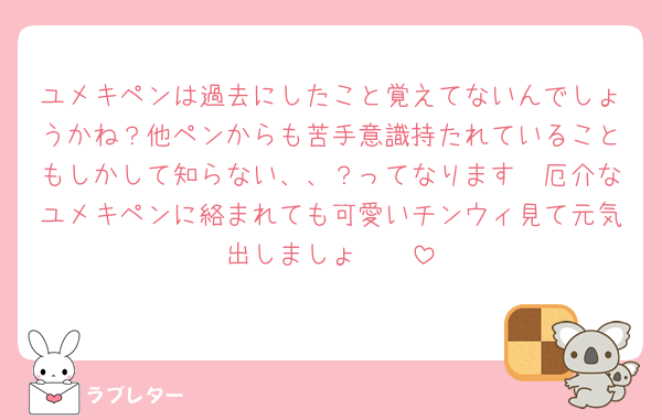 ユメキペンは過去にしたこと覚えてないんでしょうかね？他ペンからも苦手意識持たれていることもしかして知らない、、？ってなります🥺厄介なユメキペンに絡まれても可愛いチンウィ見て元気出しましょ〜‼️‼️