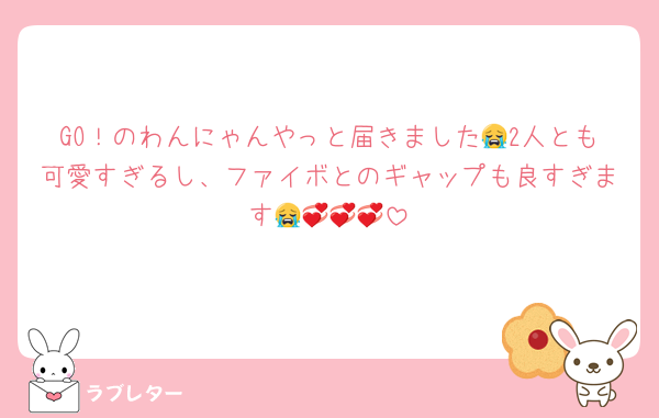 GO！のわんにゃんやっと届きました😭2人とも可愛すぎるし、ファイボとのギャップも良すぎます😭💞💞💞
