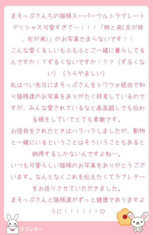 まそっぷさんちの猫様スーパーウルトラグレートデリシャス可愛すぎて…！！！「姉と弟(左が姉、右が弟)」のお写真たまらないです！！
こんな愛くるしいもふもふとご一緒に暮らしてるんですか！？ずるくないですか！？？（ずるくない）（うらやましい）
私はつい先日にまそっぷさんをトワウォ経由で知り猫様達のお写真をありがたく拝見しているのですが、みんな愛されているなと画面越しでも伝わる眼をしていてとても素敵です。
お怪我をされたときはハラハラしましたが、動物と一緒にいるということはそういうこともあると納得するしかないんですよね…。
いつも可愛らしい猫様のお写真をありがとうございます。なんとなくこれを伝えたくてラブレターをお送りさせていただきました。
まそっぷさんと猫様達がずっと健康でありますように！！！！！！