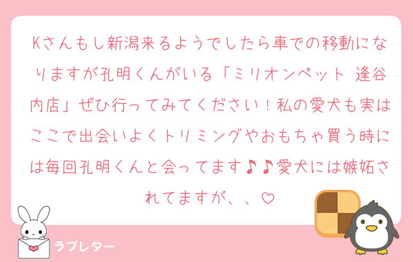 Kさんもし新潟来るようでしたら車での移動になりますが孔明くんがいる「ミリオンペット 逢谷内店」ぜひ行ってみてください！私の愛犬も実はここで出会いよくトリミングやおもちゃ買う時には毎回孔明くんと会ってます♪♪愛犬には嫉妬されてますが、、